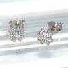 RI01241þBOUCLE PUCE TREFLE