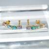 RI01520þBoucle Lobe Multicolore Dore